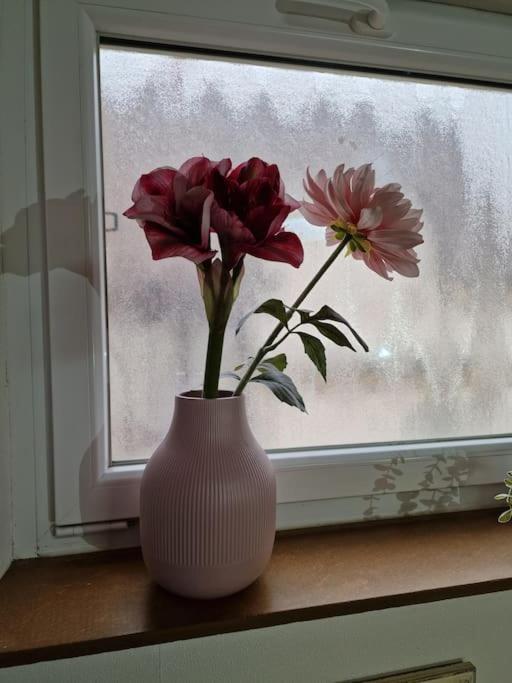 Grosszuegige Ferienwohnung 4+1 P. Buettelborn ภายนอก รูปภาพ